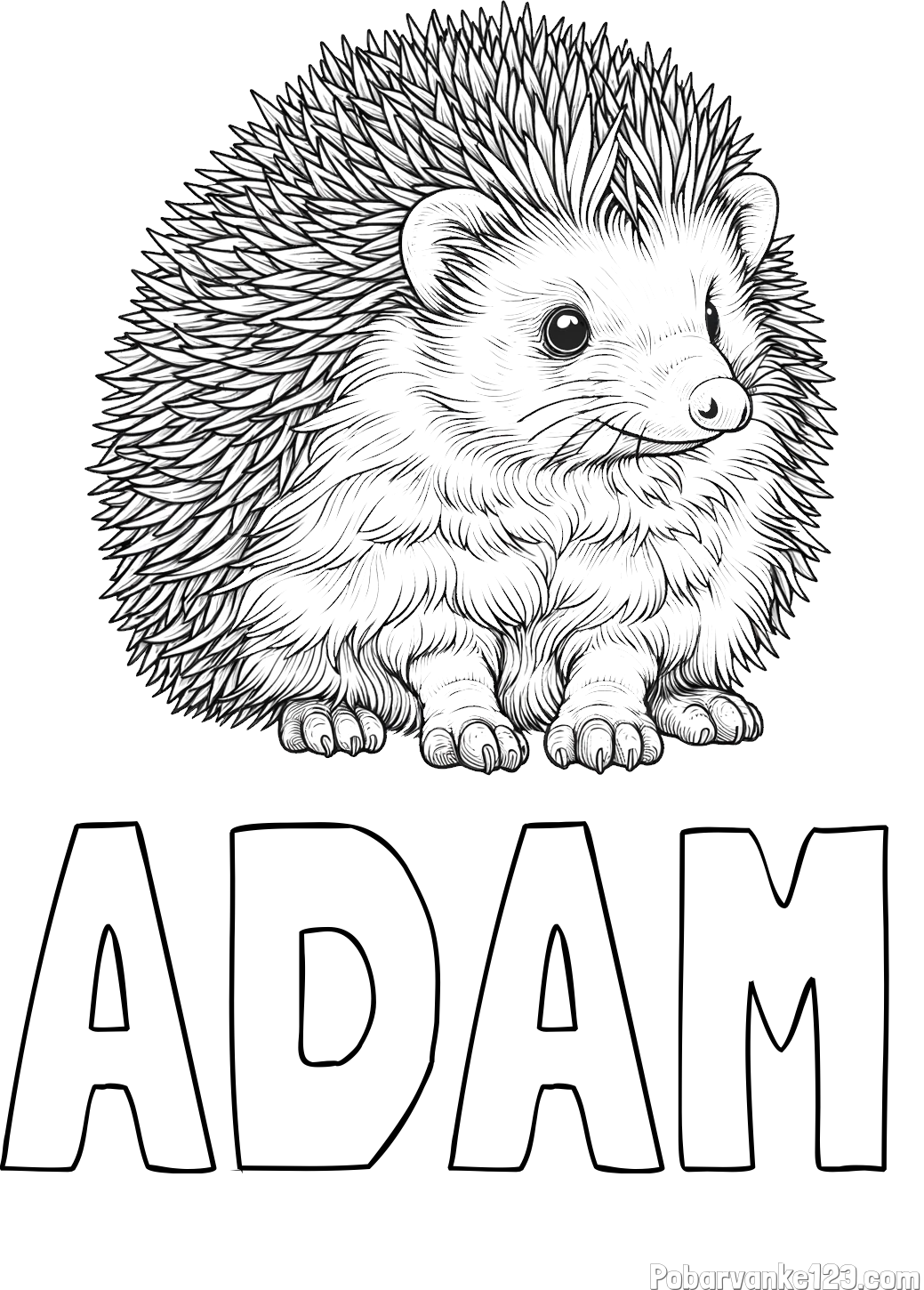 Pobarvanka imena ADAM in pobarvanka nasmejanega ježa