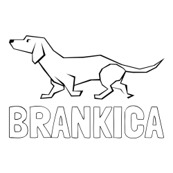 Online izdelana pobarvanka - Pobarvanka imena BRANKICA in pobarvanka jazbečarja