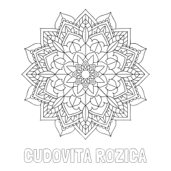 Online izdelana pobarvanka - Pobarvanka imena ČUDOVITA ROŽICA in Čudovita pobarvanka mendale