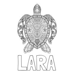 Online izdelana pobarvanka - Pobarvanka imena LARA in pobarvanka želve - mandale