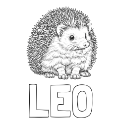 Online izdelana pobarvanka - Pobarvanka imena LEO in pobarvanka nasmejanega ježa