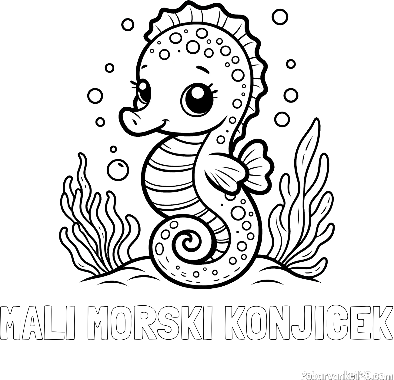 Pobarvanka imena MALI MORSKI KONJIČEK in pobarvanka morskega konjička