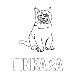 Online izdelana pobarvanka - Pobarvanka imena TINKARA in pobarvanka lepe mucke
