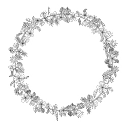 Pobarvanka adventni venček