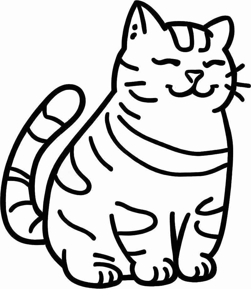 Pobarvanka debelušne mačke