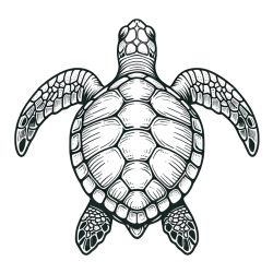 Enostavna pobarvanka želve