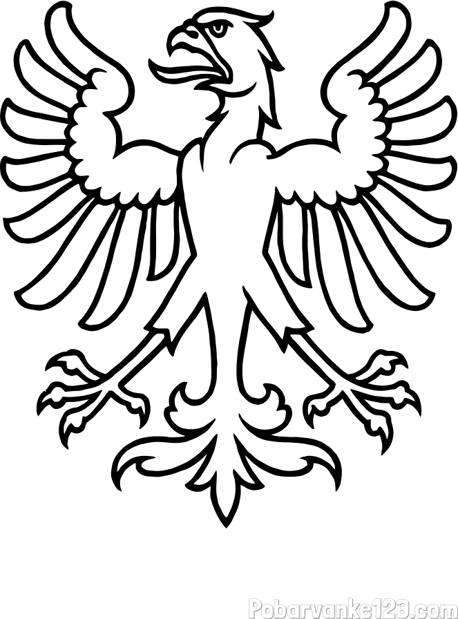 Otroška pobarvanka orla