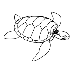Otroška pobarvanka velike želve
