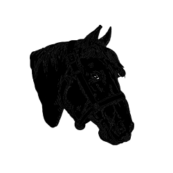 Pobarvana pobarvanka - Konjska glava