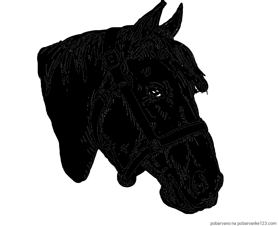 POBARVANA POBARVANKA - Konjska glava