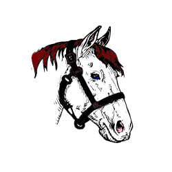 Pobarvana pobarvanka - Konjska glava