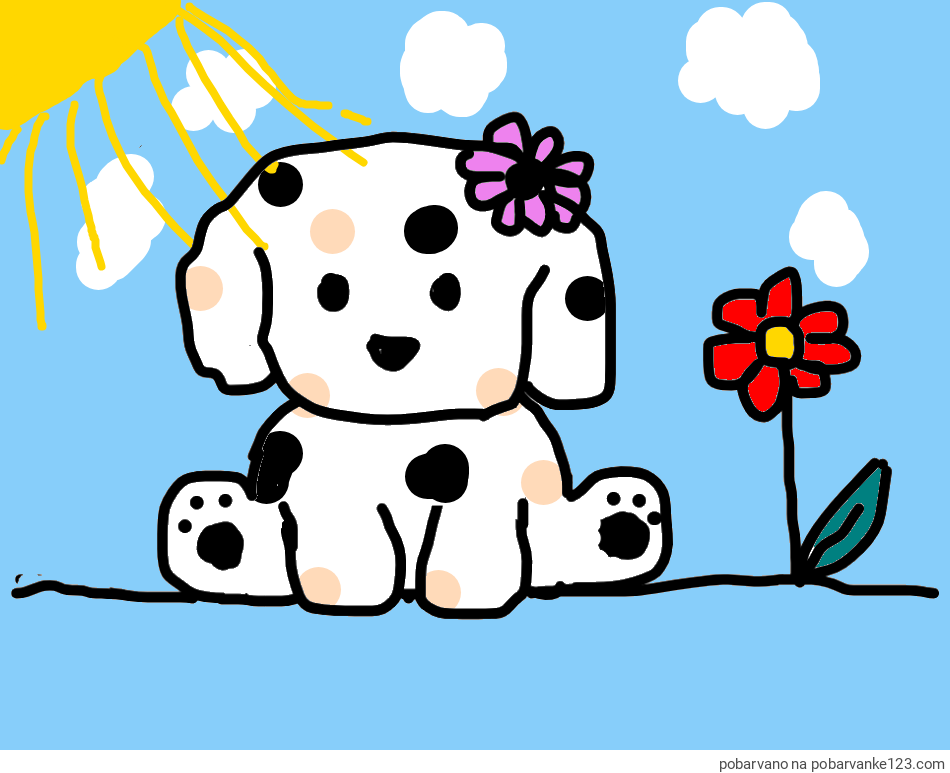 POBARVANA POBARVANKA - KUŽIKA