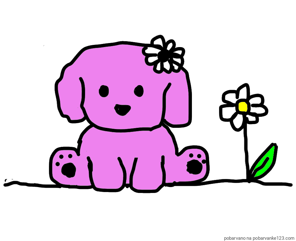 POBARVANA POBARVANKA - KUŽIKA