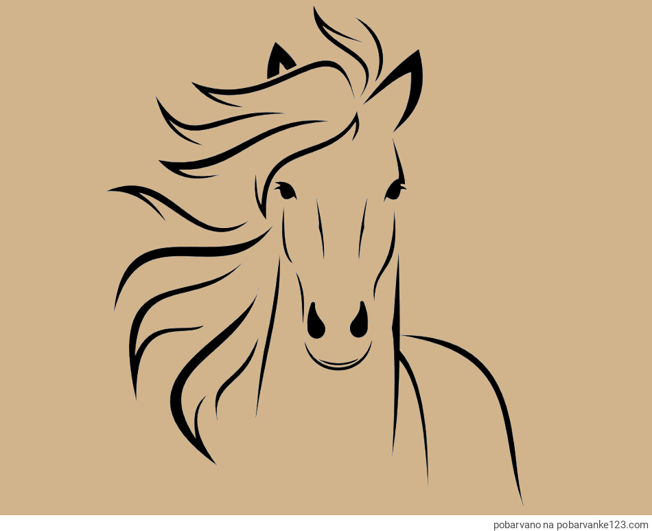 POBARVANA POBARVANKA - Lepa pobarvanka konja