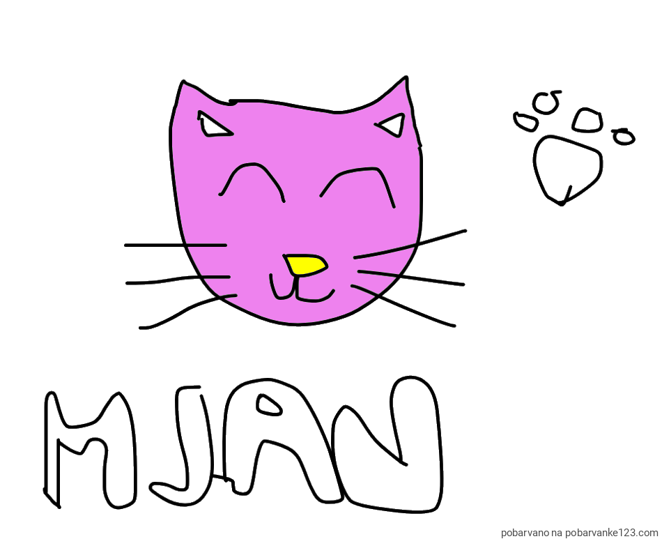 POBARVANA POBARVANKA - mucica