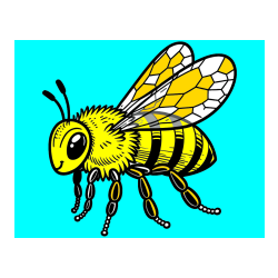 Pobarvana pobarvanka - Otroška pobarvanka čebele (realistična)