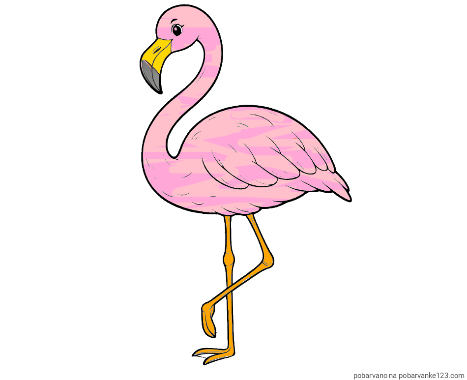 POBARVANA POBARVANKA - Pobarvanka flaminga