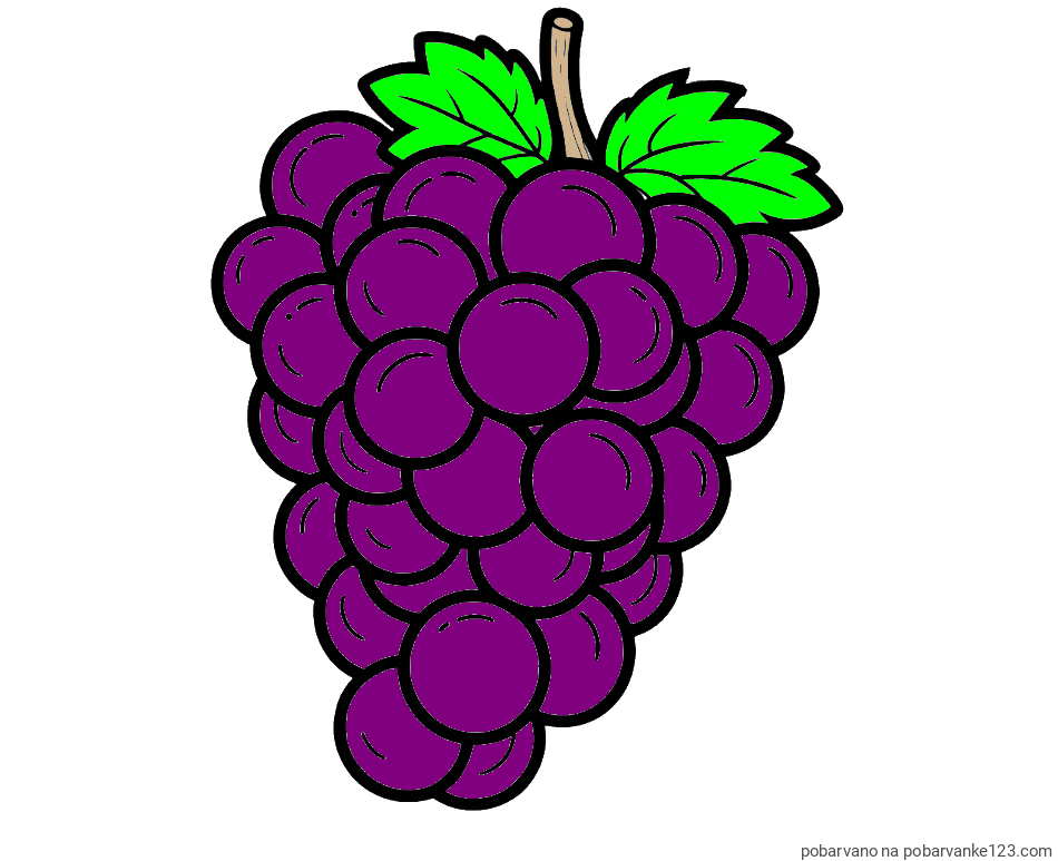 POBARVANA POBARVANKA - Pobarvanka grozdja z velikimi rozinami