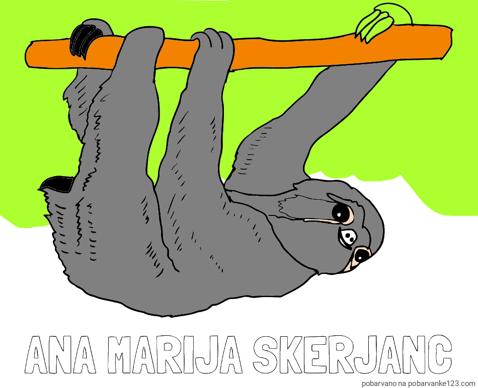 POBARVANA POBARVANKA - Pobarvanka imena ANA MARIJA ŠKERJANC in pobarvanka lenivca