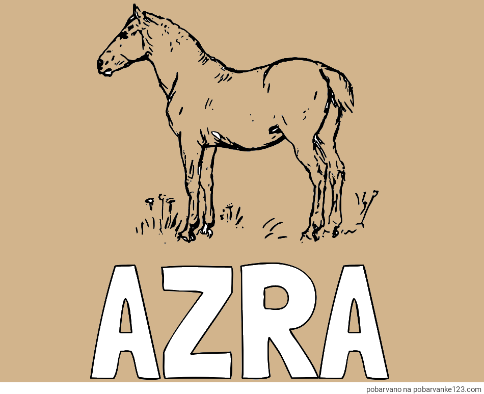 POBARVANA POBARVANKA - Pobarvanka imena AZRA in pobarvanka konja na travi