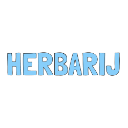 Pobarvana pobarvanka - Pobarvanka imena HERBARIJ