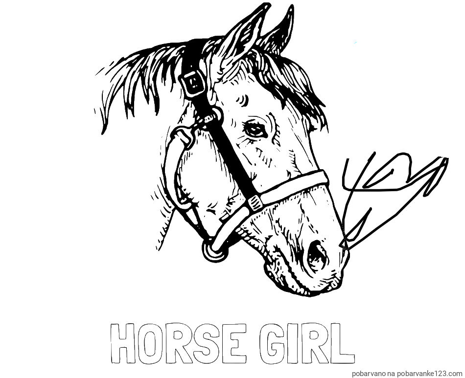 POBARVANA POBARVANKA - Pobarvanka imena HORSE GIRL in konjska glava