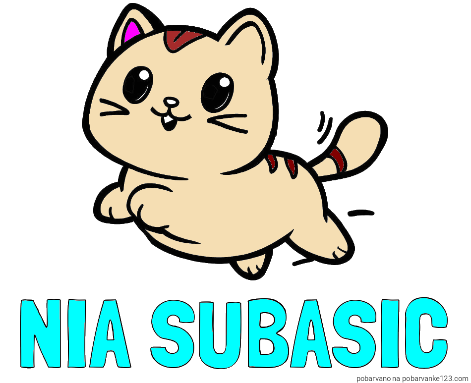 POBARVANA POBARVANKA - Pobarvanka imena NIA SUBAŠIČ in pobarvanka prikupne mačke med tekom