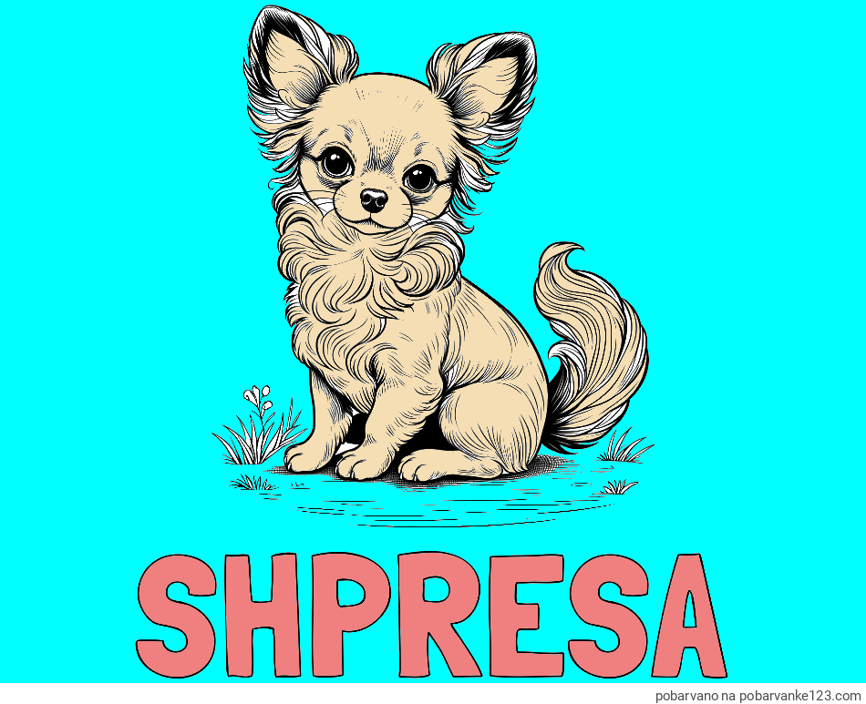 POBARVANA POBARVANKA - Pobarvanka imena SHPRESA in pobarvanka ljubke čivave