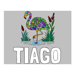 Pobarvana pobarvanka - Pobarvanka imena TIAGO in pobarvanka flaminga z abstraktnimi vzorci