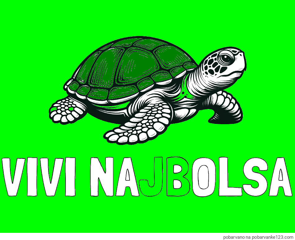 POBARVANA POBARVANKA - Pobarvanka imena VIVI NAJBOLŠA in pobarvanka velike želve