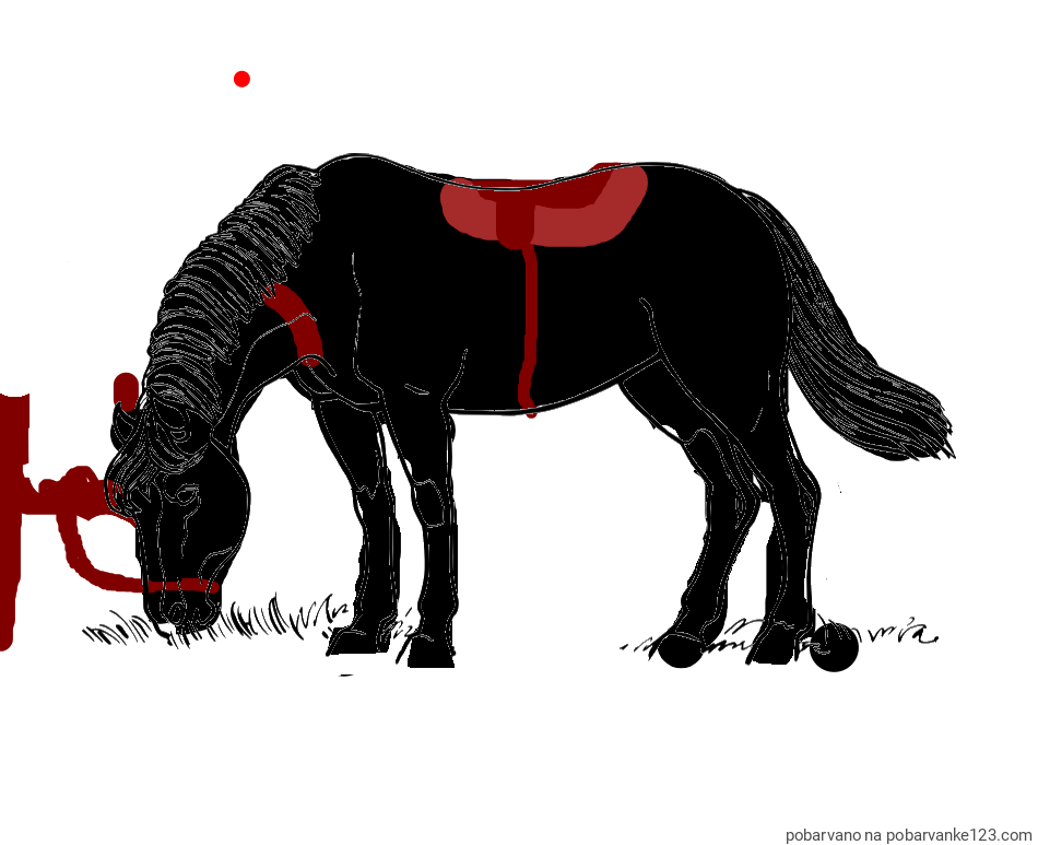 POBARVANA POBARVANKA - Pobarvanka konja med pašo