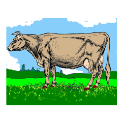 Pobarvana pobarvanka - Pobarvanka krave na paši