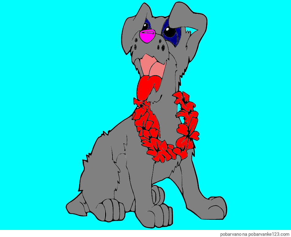 POBARVANA POBARVANKA - Pobarvanka kužka