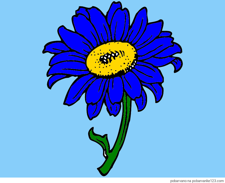 POBARVANA POBARVANKA - Pobarvanka lepe sončnice