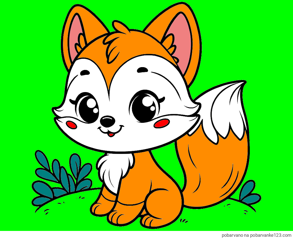 POBARVANA POBARVANKA - Pobarvanka lisičke