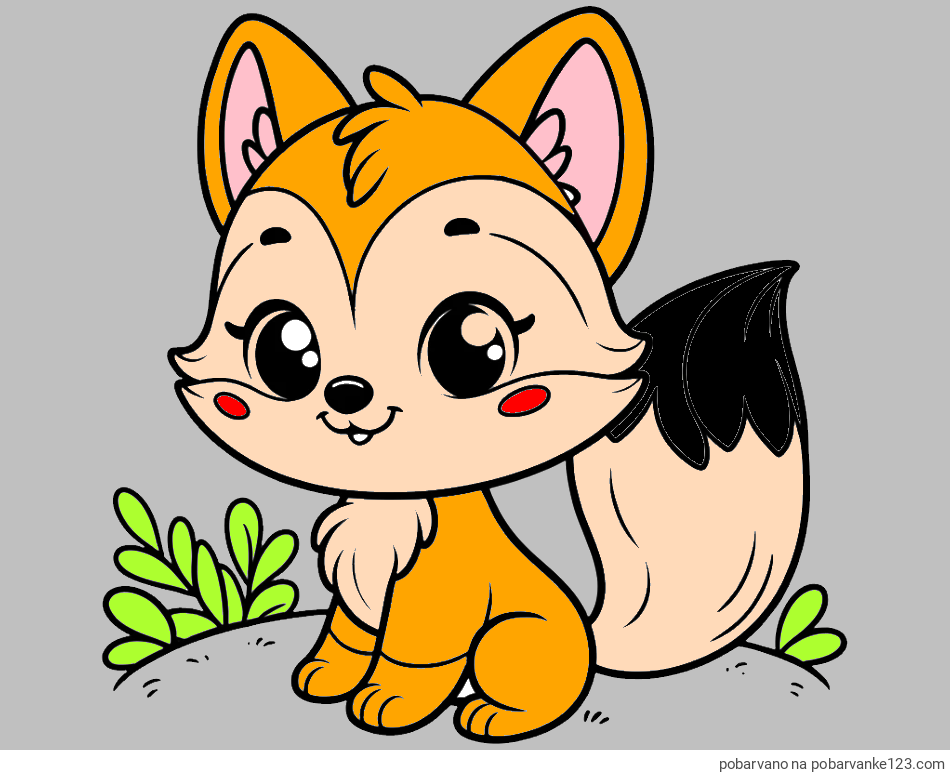 POBARVANA POBARVANKA - Pobarvanka lisičke