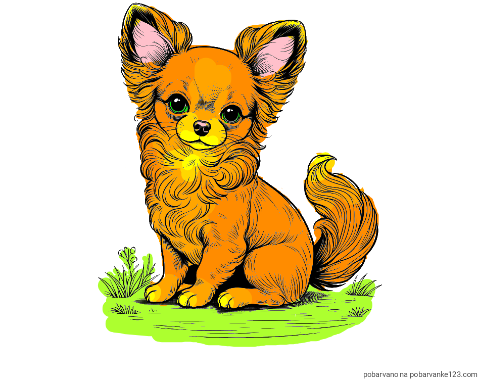 POBARVANA POBARVANKA - Pobarvanka ljubke čivave