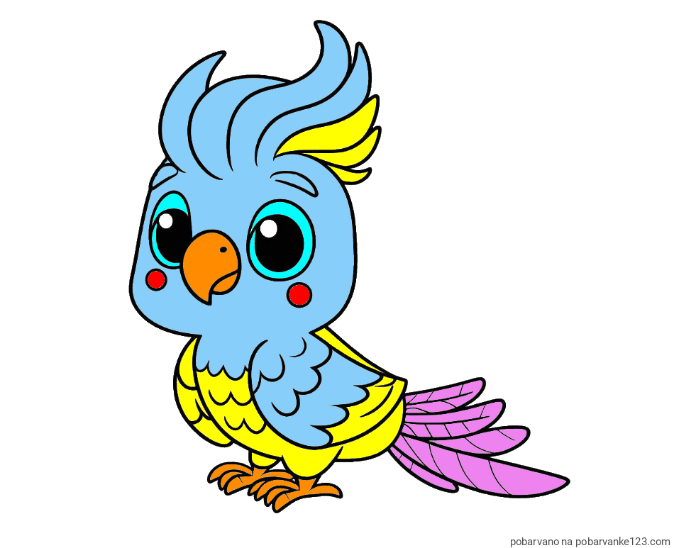 POBARVANA POBARVANKA - Pobarvanka ljubke papige
