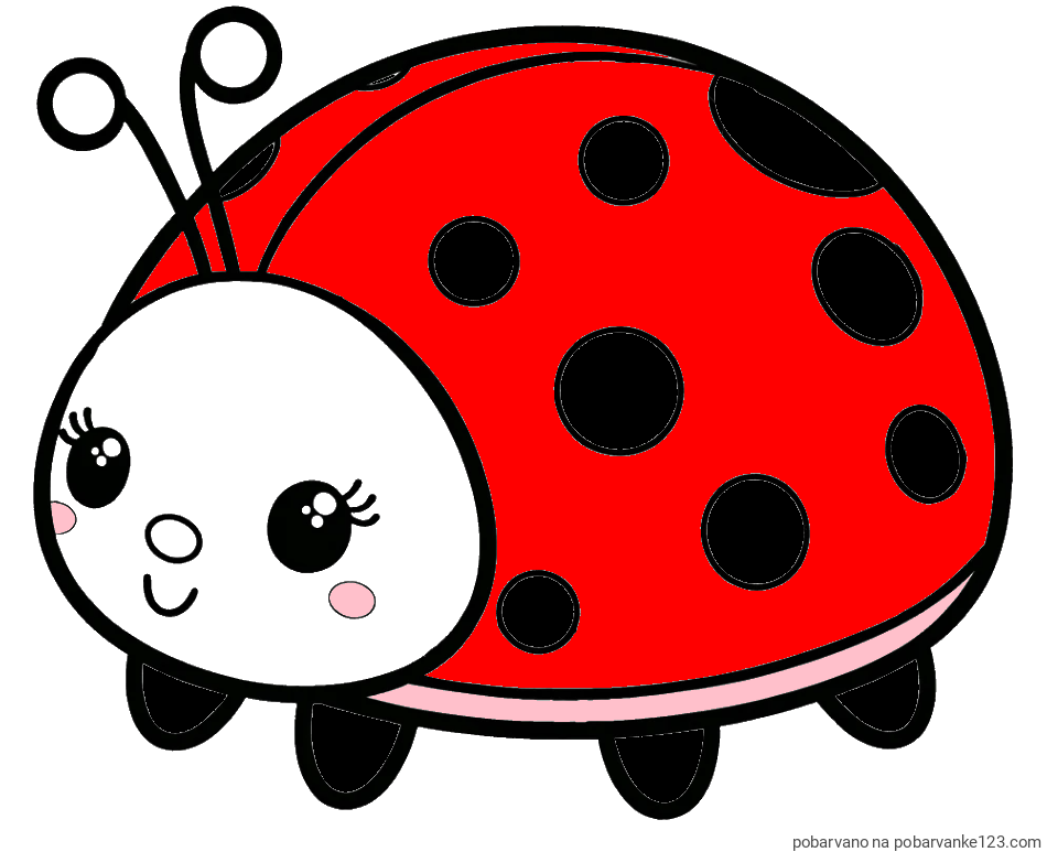 POBARVANA POBARVANKA - Pobarvanka ljubke pikapolonice