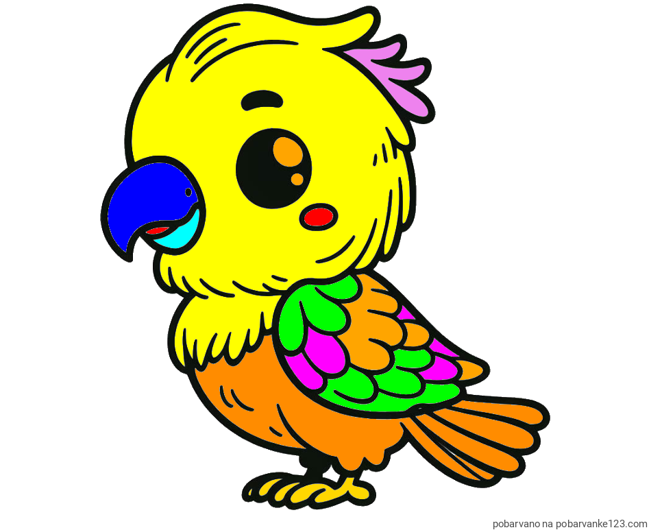 POBARVANA POBARVANKA - Pobarvanka ljubkega papagaja