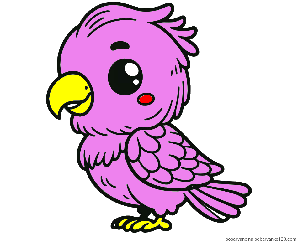 POBARVANA POBARVANKA - Pobarvanka ljubkega papagaja