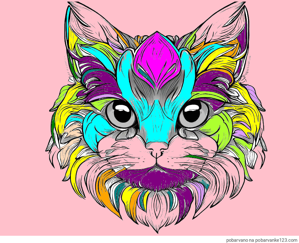 POBARVANA POBARVANKA - Pobarvanka mačke
