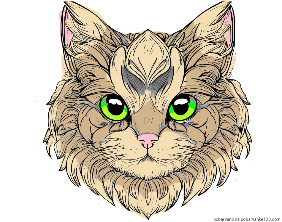 POBARVANA POBARVANKA - Pobarvanka mačke