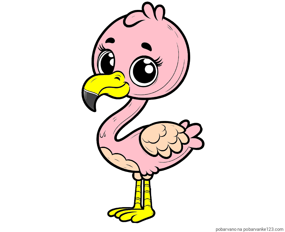 POBARVANA POBARVANKA - Pobarvanka majhnega flaminga