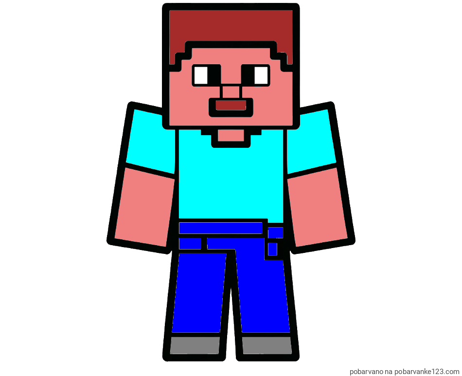 POBARVANA POBARVANKA - Pobarvanka Minecraft figurice