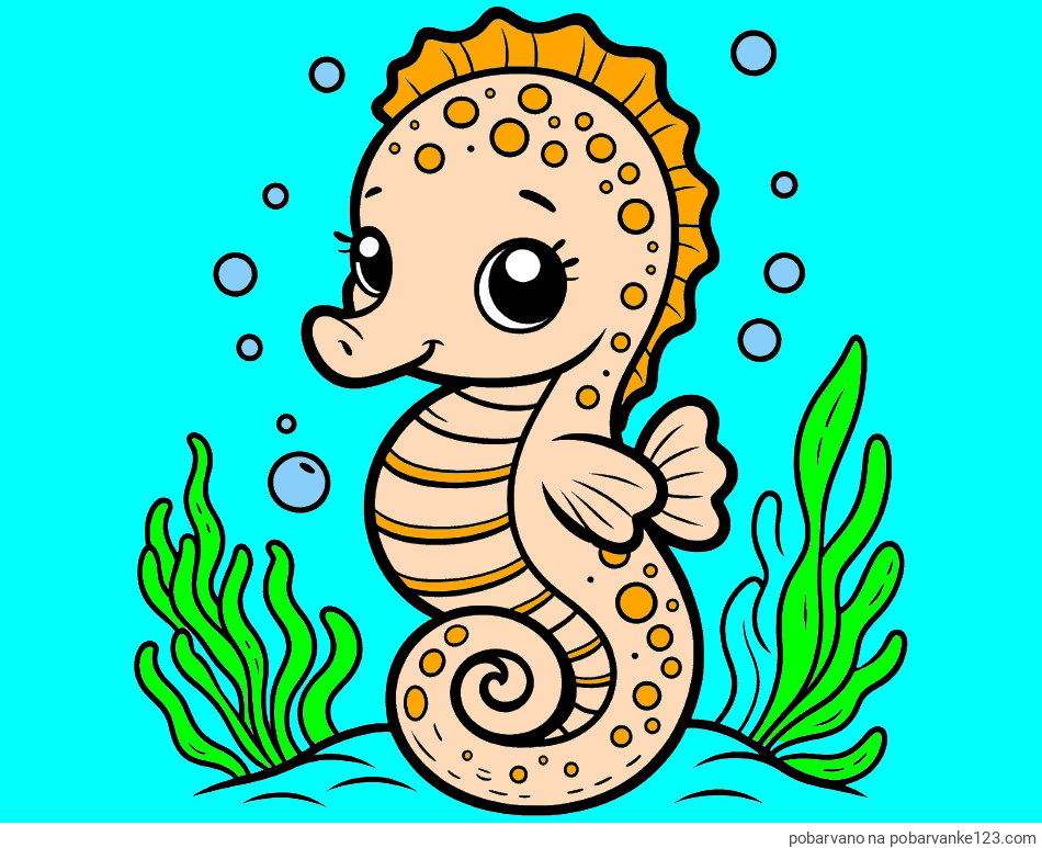 POBARVANA POBARVANKA - Pobarvanka morskega konjička