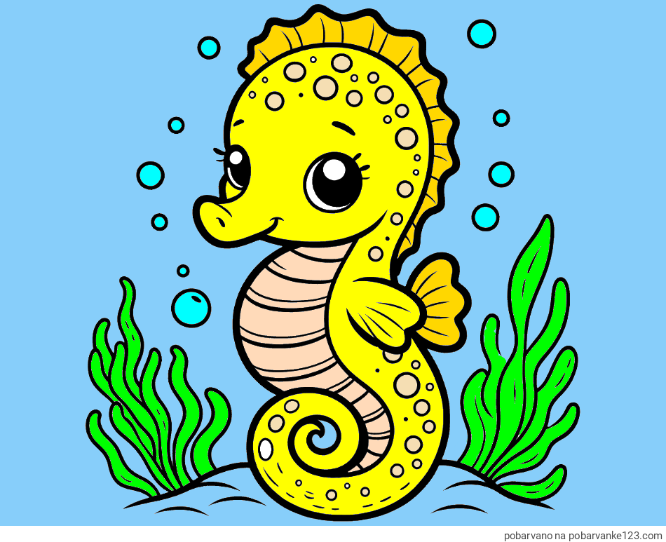 POBARVANA POBARVANKA - Pobarvanka morskega konjička