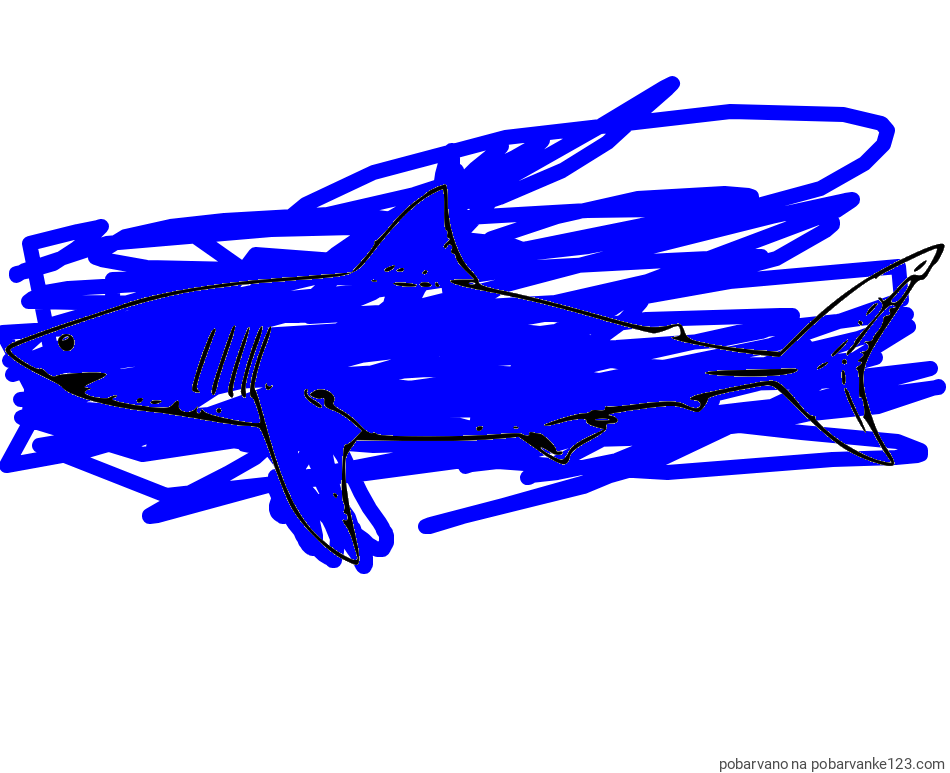 POBARVANA POBARVANKA - Pobarvanka morskega psa