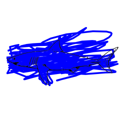 Pobarvana pobarvanka - Pobarvanka morskega psa