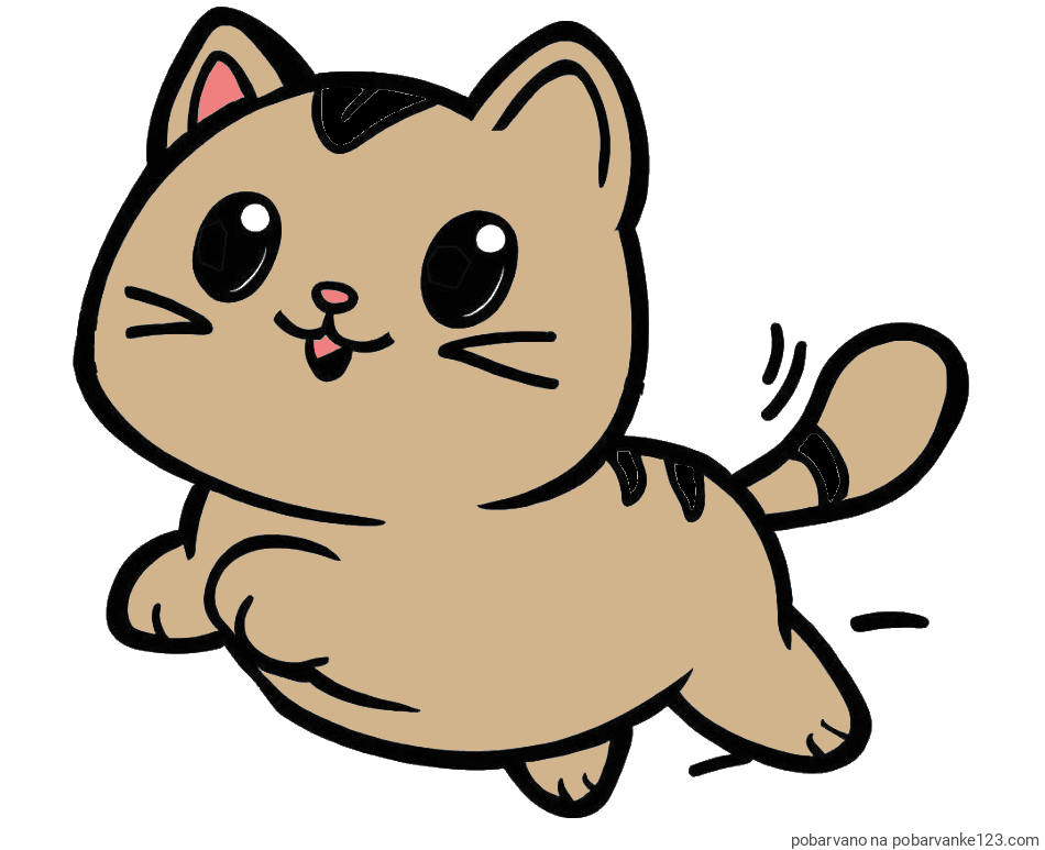 POBARVANA POBARVANKA - Pobarvanka prikupne mačke med tekom